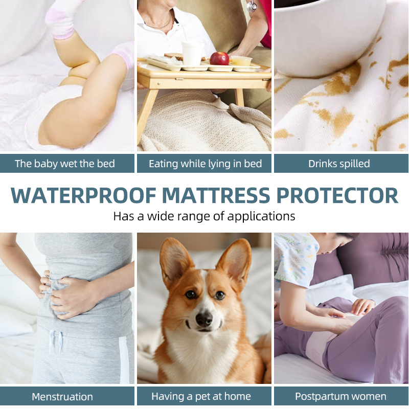 Queen Waterproof Mattress Prot - Waterproof Mattress Protector Breathable review and price